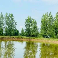 فروش زمین برا گردشگری با ۳۰میلیارد وام|فروش زمین و ملک کلنگی|شفت, |دیوار