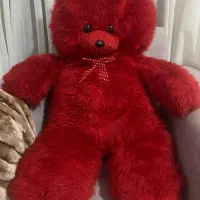 خرس قرمز