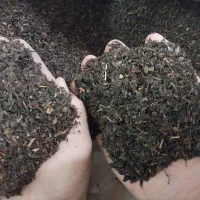 چای و زندگی|خوردنی و آشامیدنی|رشت, نامجو|دیوار