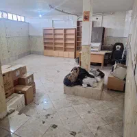 اجاره انباری .تولیدی ارایشگاه