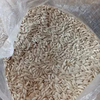 فروش تخمه آجیلی