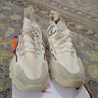 کفش|کیف، کفش، کمربند|مرند, |دیوار