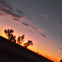 سرویس رفت و آمد