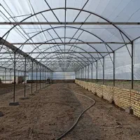 ساخت و تعمیرات گلخانه|خدمات باغبانی و درختکاری|جوادآباد, |دیوار