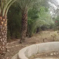 فروش زمین ویلایی