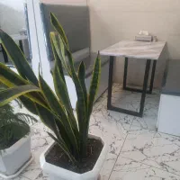 کارگر/خانم