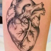 تتوبدن|خدمات آرایشگری و زیبایی|بهبهان, |دیوار