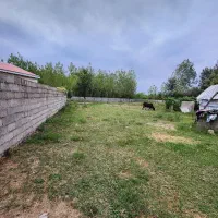 ۱۰۰۰ هزار متر زمین مسکونی|فروش زمین و ملک کلنگی|ماسال, |دیوار