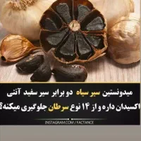 سیر سیاه مشکل گشای بدن|خوردنی و آشامیدنی|شیراز, شهرک سراج‎|دیوار