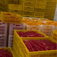 فروش نوشمک ویخمک باتاییدیه ومجوز های بهداشتی