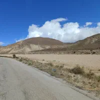 شاگرد تریلی