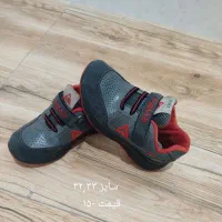 کتانی و کفش مجلسی و بچگانه|کیف، کفش، کمربند|میانه, |دیوار