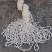 تور سلیه (سالیک)