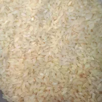 برنج کامفیروزی معاوضه با حبوبات|خوردنی و آشامیدنی|شیراز, منطقه هوایی شهید دوران|دیوار