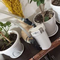 فیلتر تصویه آکواریوم سطلی