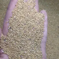 بذر یونجه|گل و گیاه طبیعی|شیروان (خراسان), |دیوار