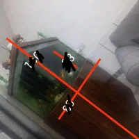 اکواریوم