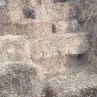 کاه و کلش پرس شده