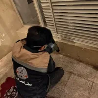 سمپاشی انواع سوسک،ساس،موش،موریانه یا ریشمیز و غیره