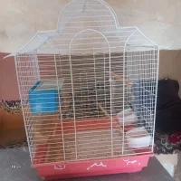 قفس پرنده