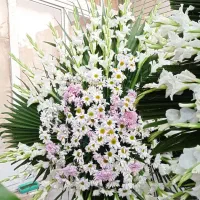 فروش تاج گل طبیعی