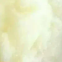 روغن حیوانی بز