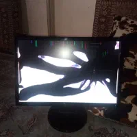 سالم فقط صفحه زربه خورده