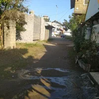 ۱۰۰ متر زمین مسکونی با بر عالی قیمت مناسب ۱۱۰۰|فروش زمین و ملک کلنگی|لنگرود, |دیوار