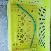 سبد پلاستکی