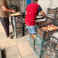 سیب زمینی شیرین