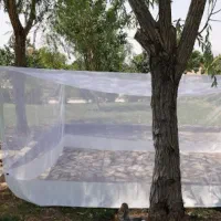 پشه بند و بازی فکری