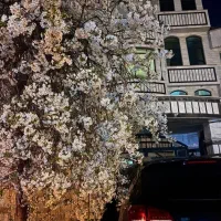 اجاره یک واحد کارشناسان