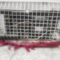 یخچال دودر سه کشو