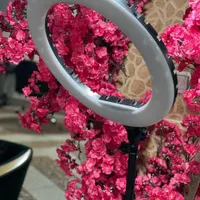 رینگ‌لایت