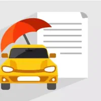 تمامی بیمه ها