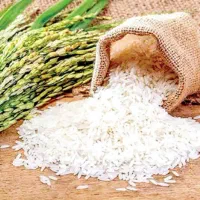 برنج ایرانی درجه یک صادراتی