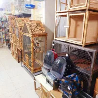 قفس عروس هلندی طوطی برزیلی مرغ عشق کاسکو قناری فنچ|لوازم جانبی حیوانات|تهران, نیروی هوایی (پیروزی)|دیوار