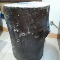 تنه کنده درخت توافقی