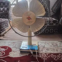 پنکه زمینی
