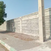 نما رومی با سیمان