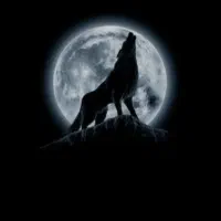 دوربی شکاری