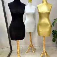 مانکن لباسی تاج داردرحدنوباپایه چوبی، دزدگیر وتگ