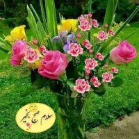 دعوت به همکاری