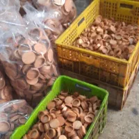 تولید درب  چوبی رزوه دار مک کارتی و بانکه