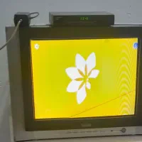 تلویزیون با دیجیتال|تلویزیون و پروژکتور|شوشتر, |دیوار