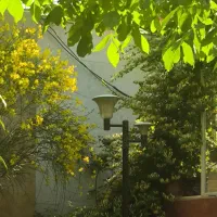 باغچه گلدشت حافظ|فروش خانه و ویلا|شیراز, غدیر جنوبی|دیوار