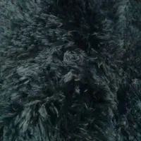 پادری نو|پادری|جیرفت, |دیوار