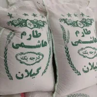برنج هاشمی ایرانی اقتصادی|خوردنی و آشامیدنی|قم, مهدیه|دیوار