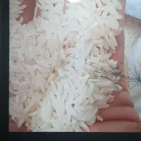 برنج هاشمی