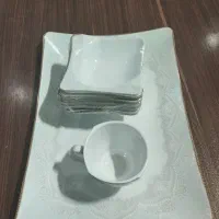 ظروف غذا خوری